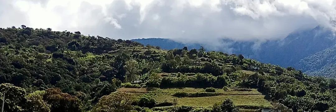 leycape's profile banner image