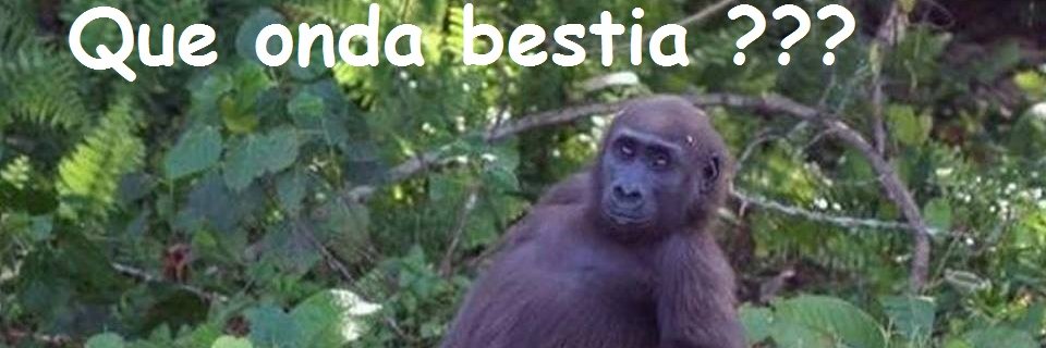 juammedina's profile banner image