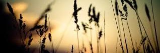 NoeBrites's profile banner image
