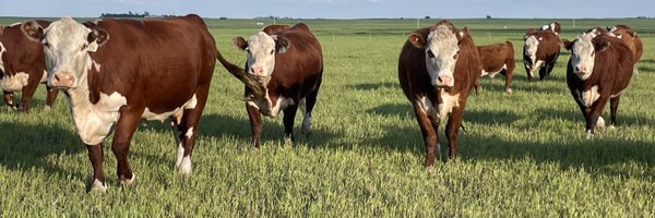 JMort95 Profile Banner