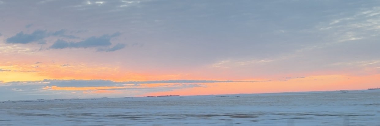 Julie Kuhar banner