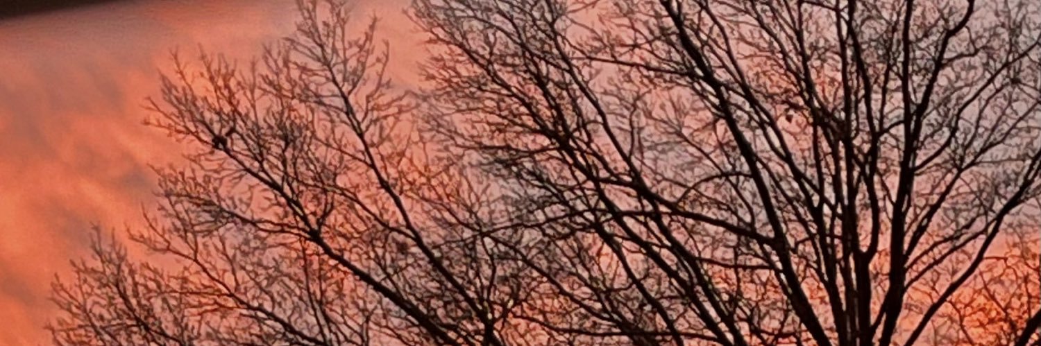 bvkaz's profile banner image