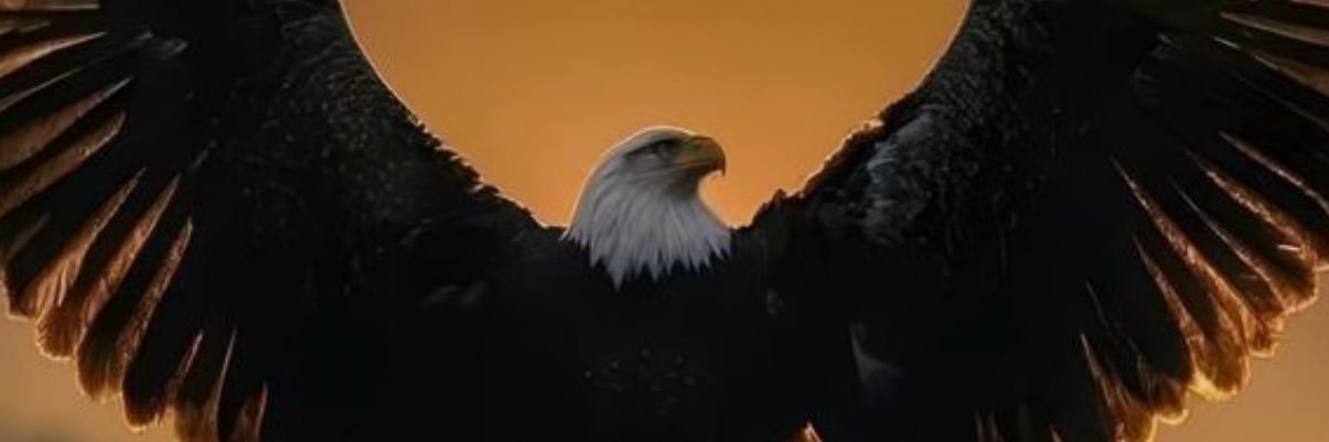 AdebiseBrazil's profile banner image