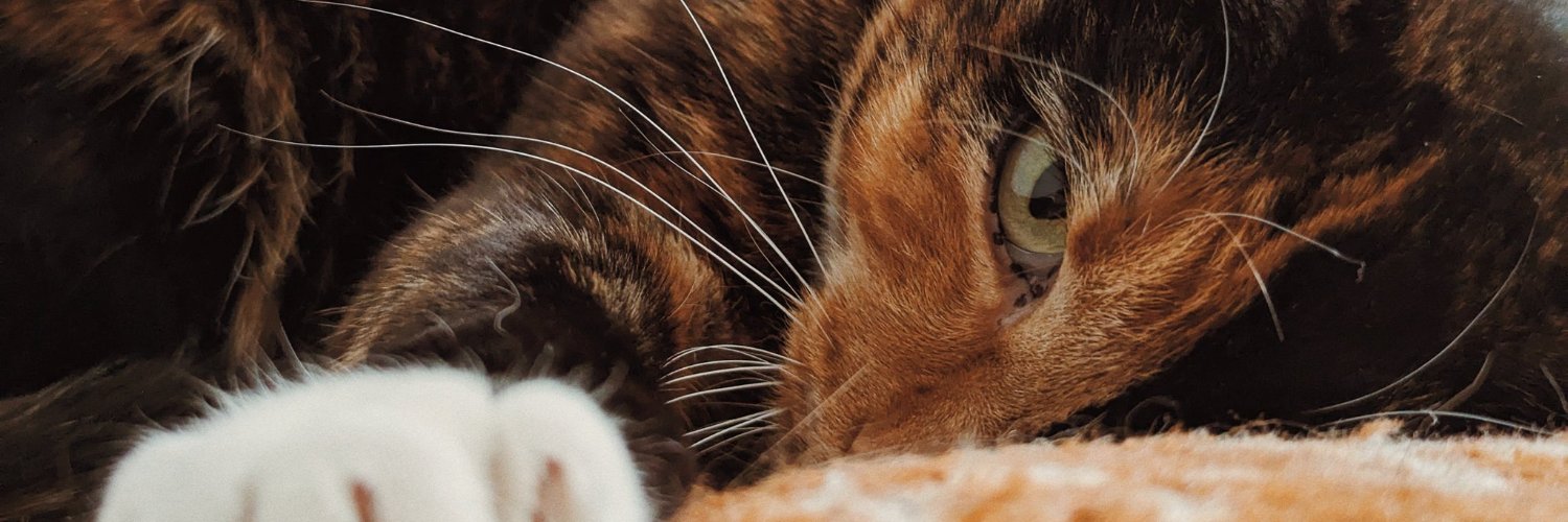 аккуратный финский гном-этикетчик banner