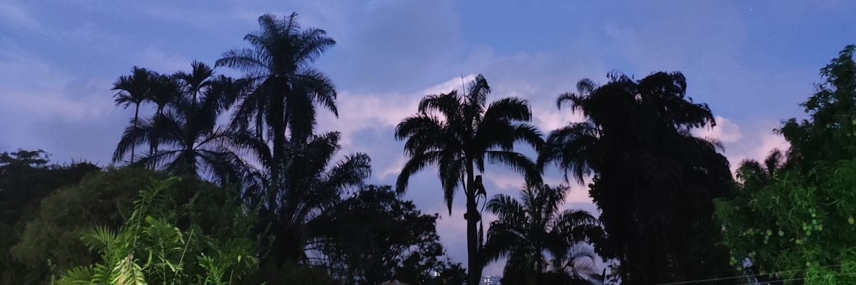 IndianySnchezs's profile banner image