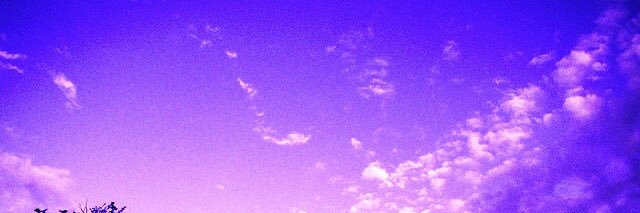 Sparkle_1724's profile banner image