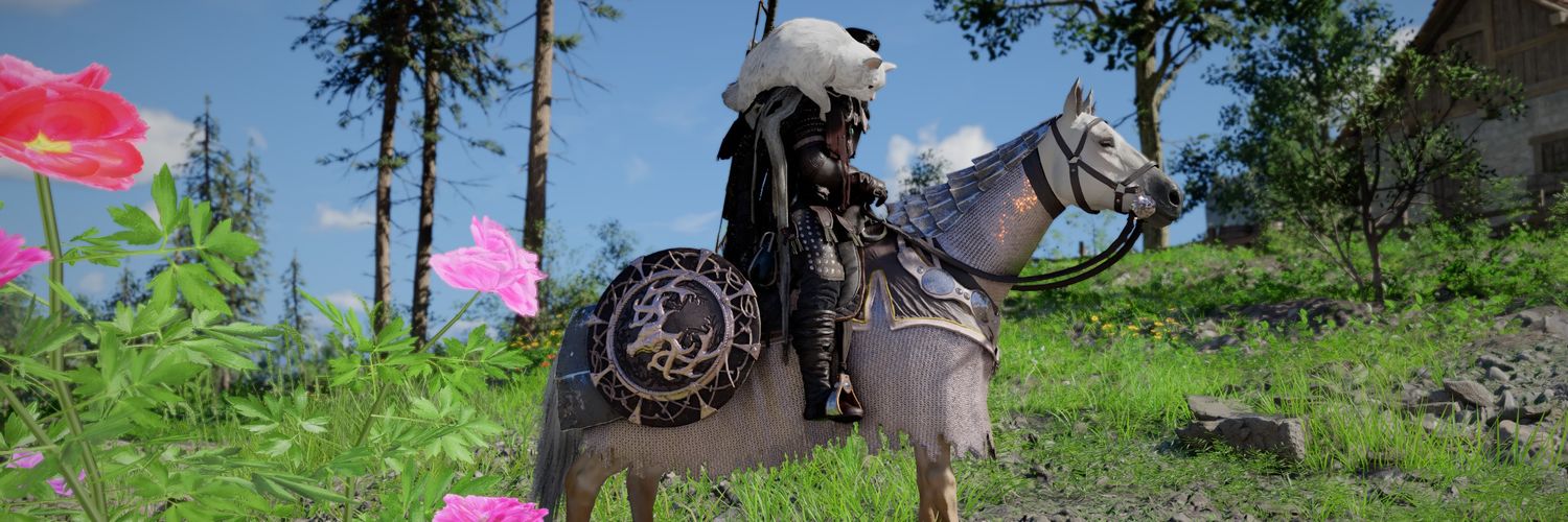 Janelle - Adventurer banner