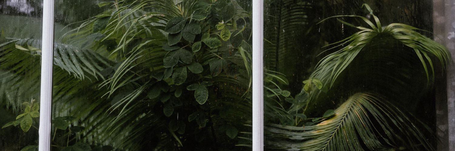 dermitderkamera's profile banner image