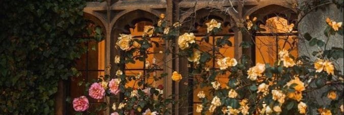 Diana banner
