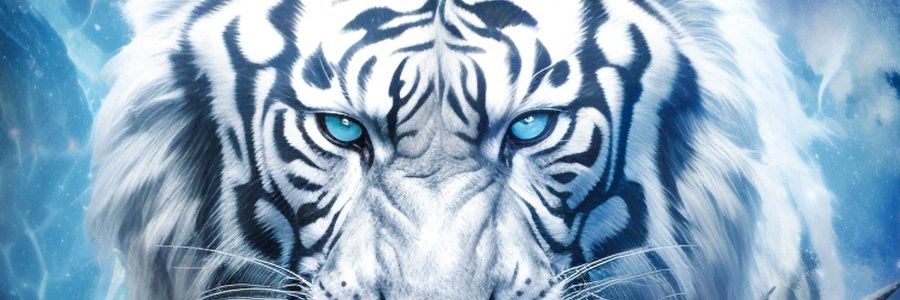 playcool54's profile banner image