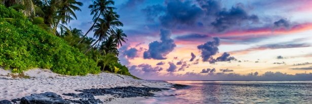 Joseph Miller banner