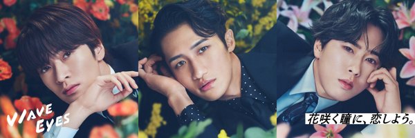 wavecontact Profile Banner