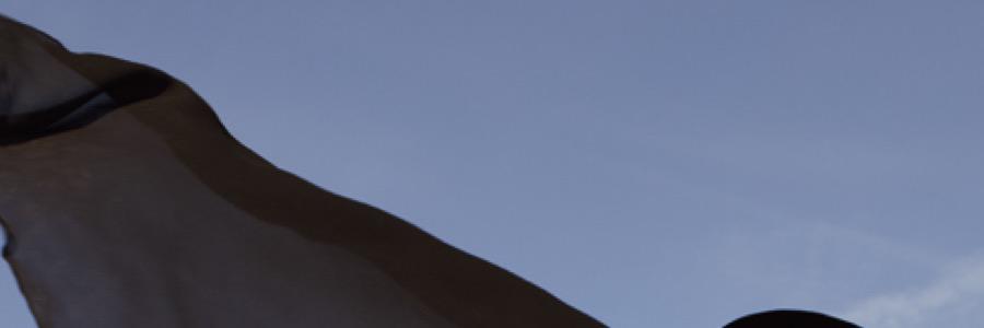 GagaxInjectMe's profile banner image
