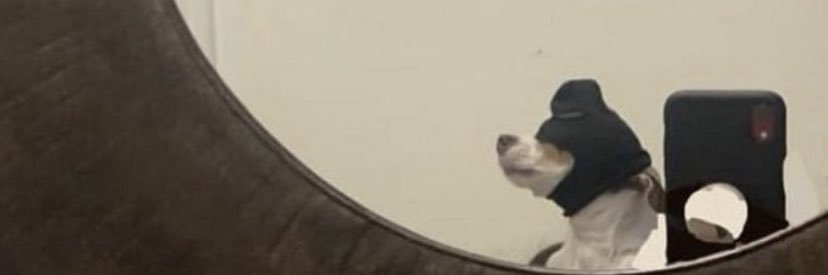 Guy banner