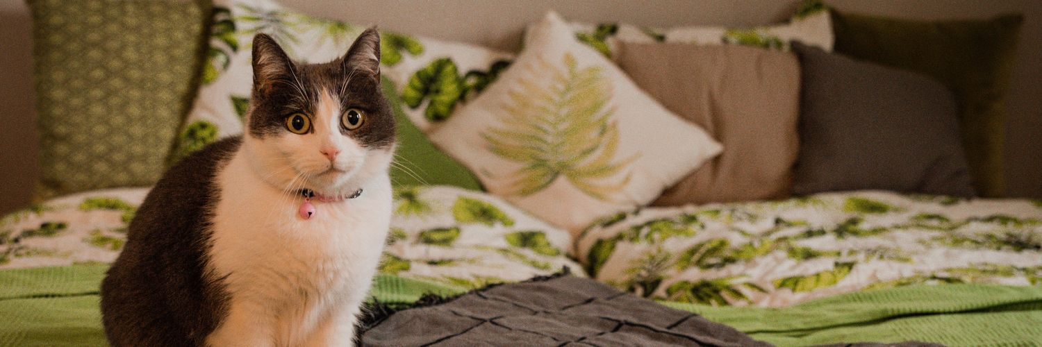 Eline🌼🌿 banner