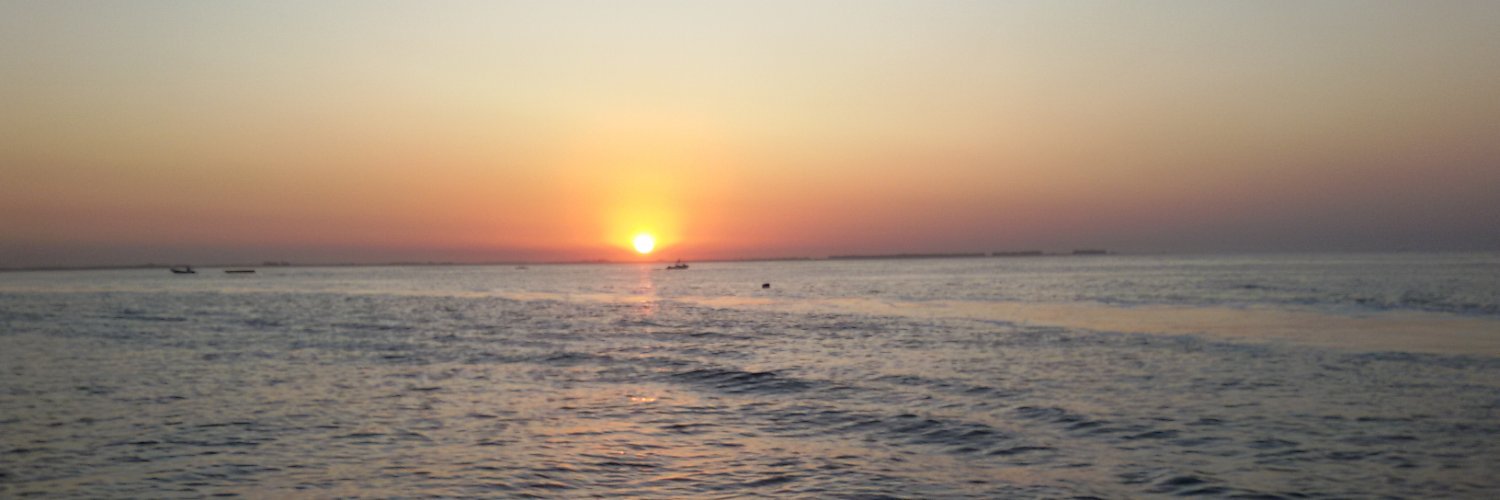 GimenaTaddei's profile banner image