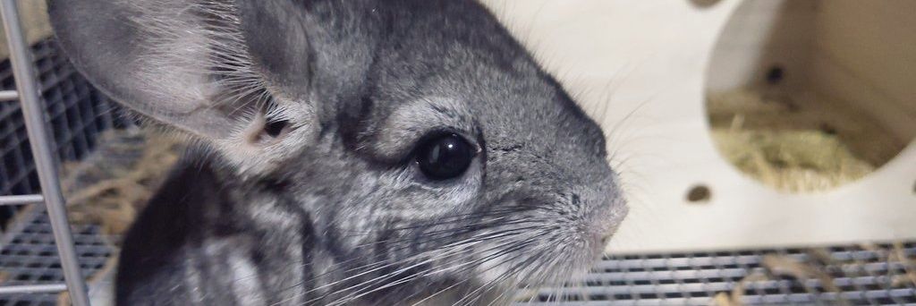 abcgdgd's profile banner image