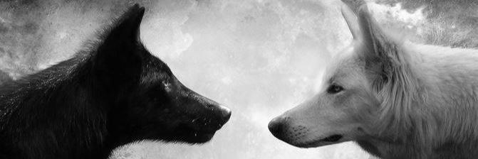 _MirandaLeon's profile banner image