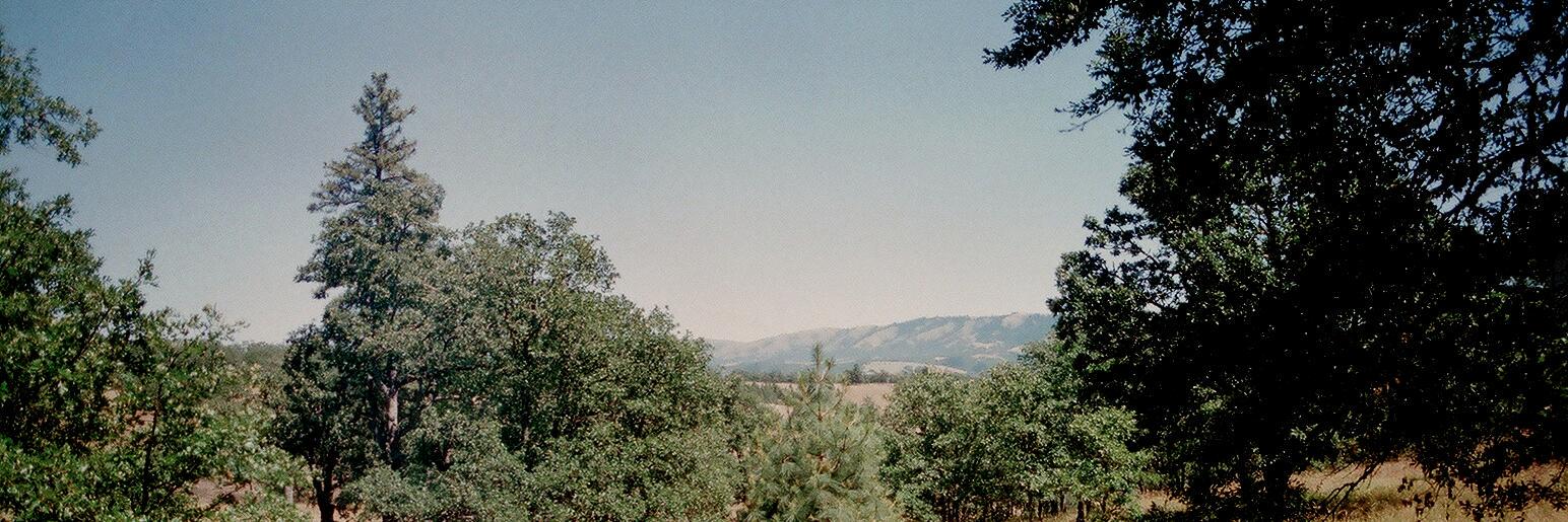 Syncline Winery banner