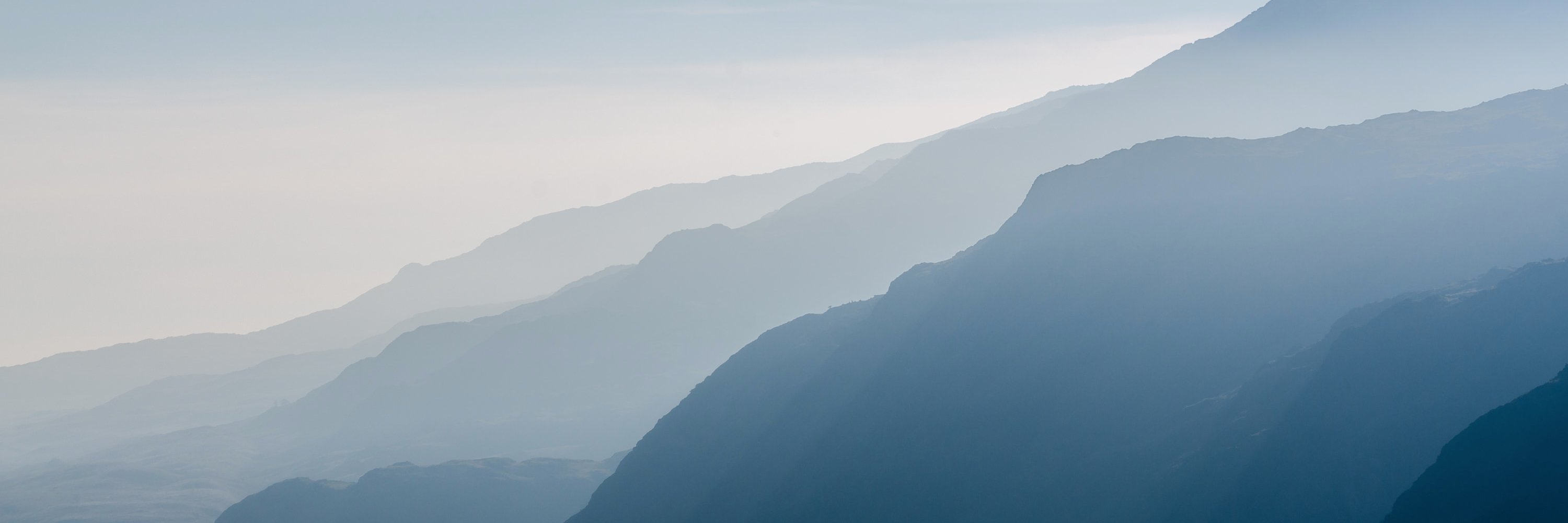 Edwin Holwerda banner