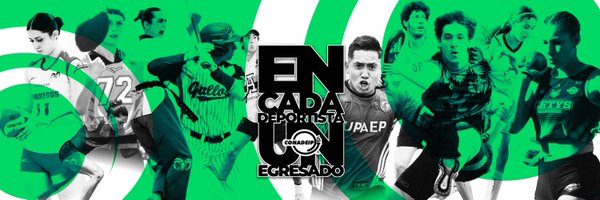 CONADEIPmx Profile Banner