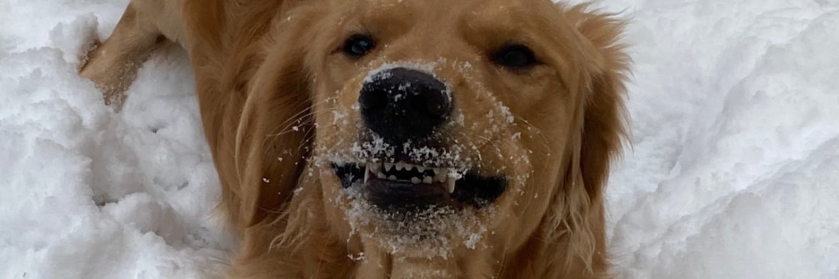 Hayden_M715's profile banner image