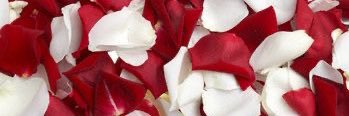 Aye ♕ banner