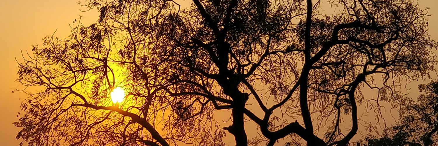 arpittiwari8's profile banner image