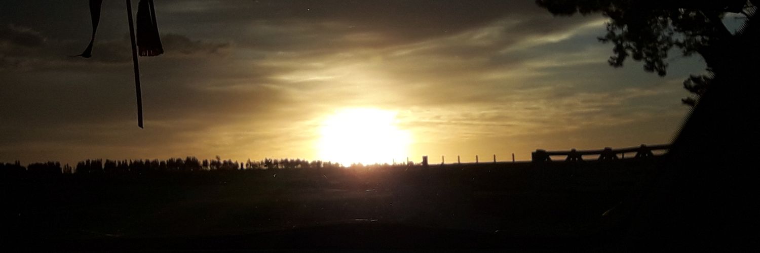 lavidanish's profile banner image