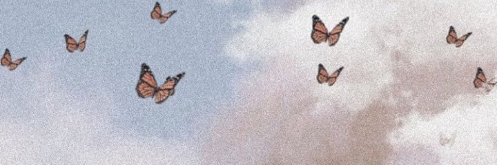 alanabatta's profile banner image