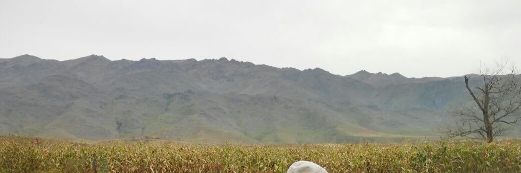 RentaMarcela's profile banner image