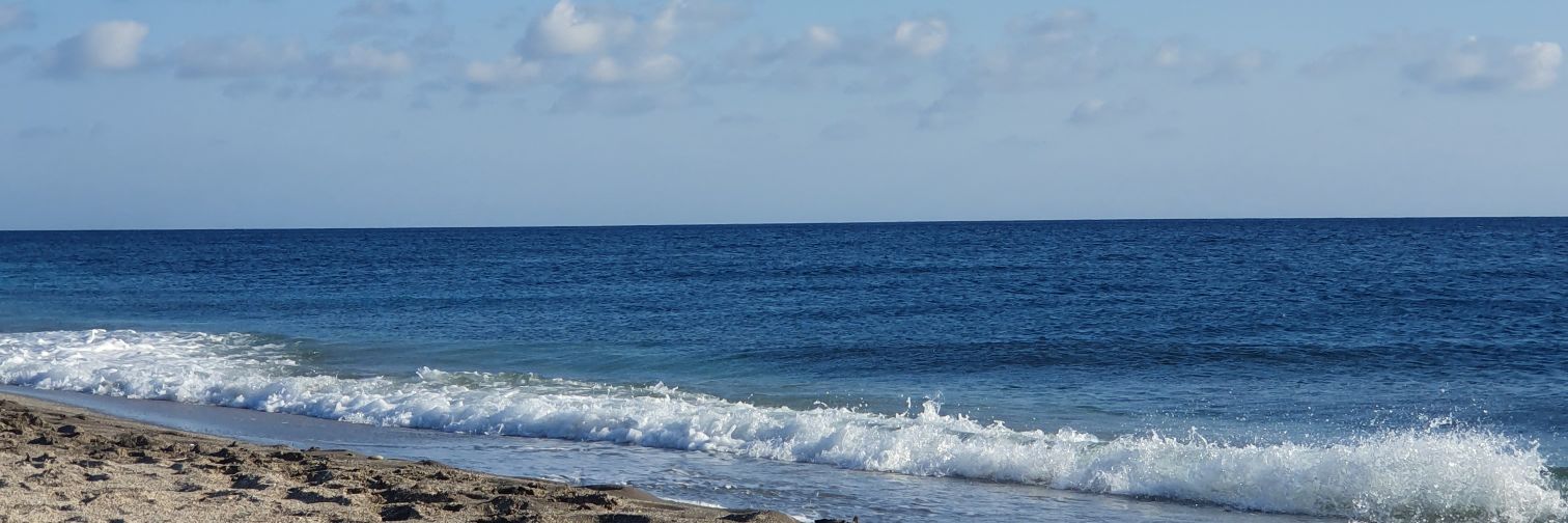 Veronica_Sur's profile banner image