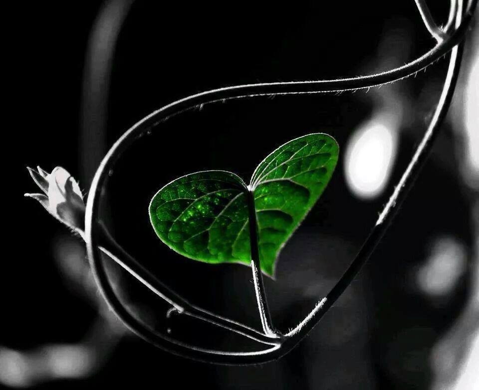 George797's profile banner image
