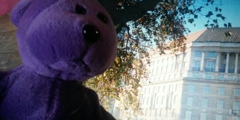 spybear007's profile banner image