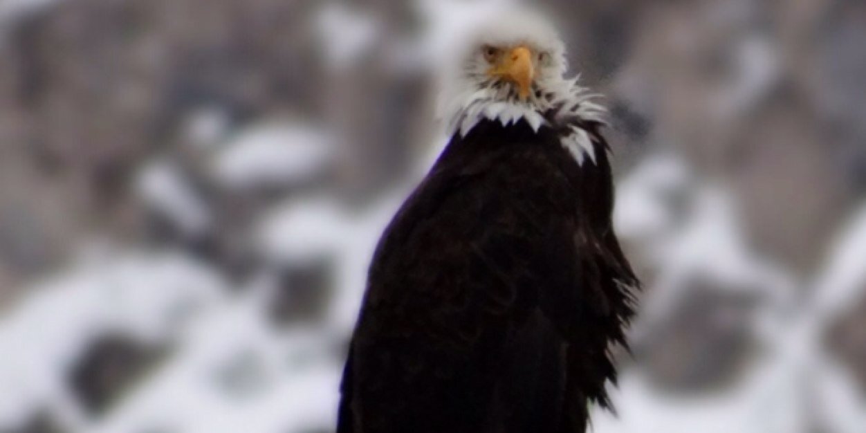 FFQuotesUSA's profile banner image