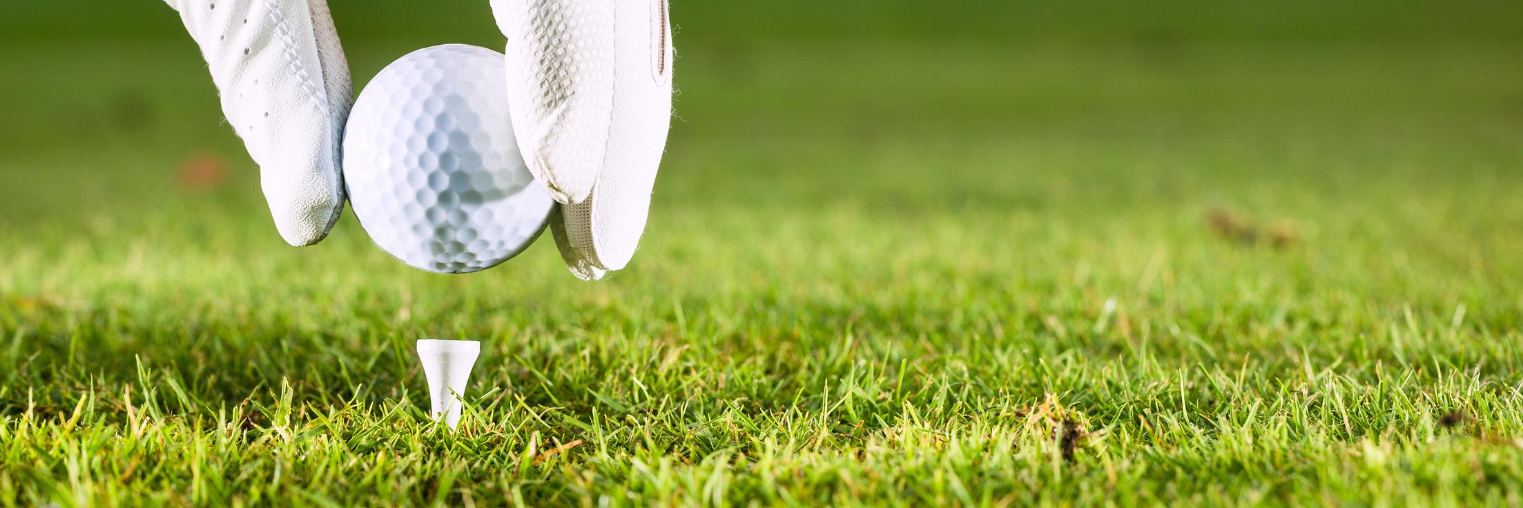 ProJoeGolf's profile banner image