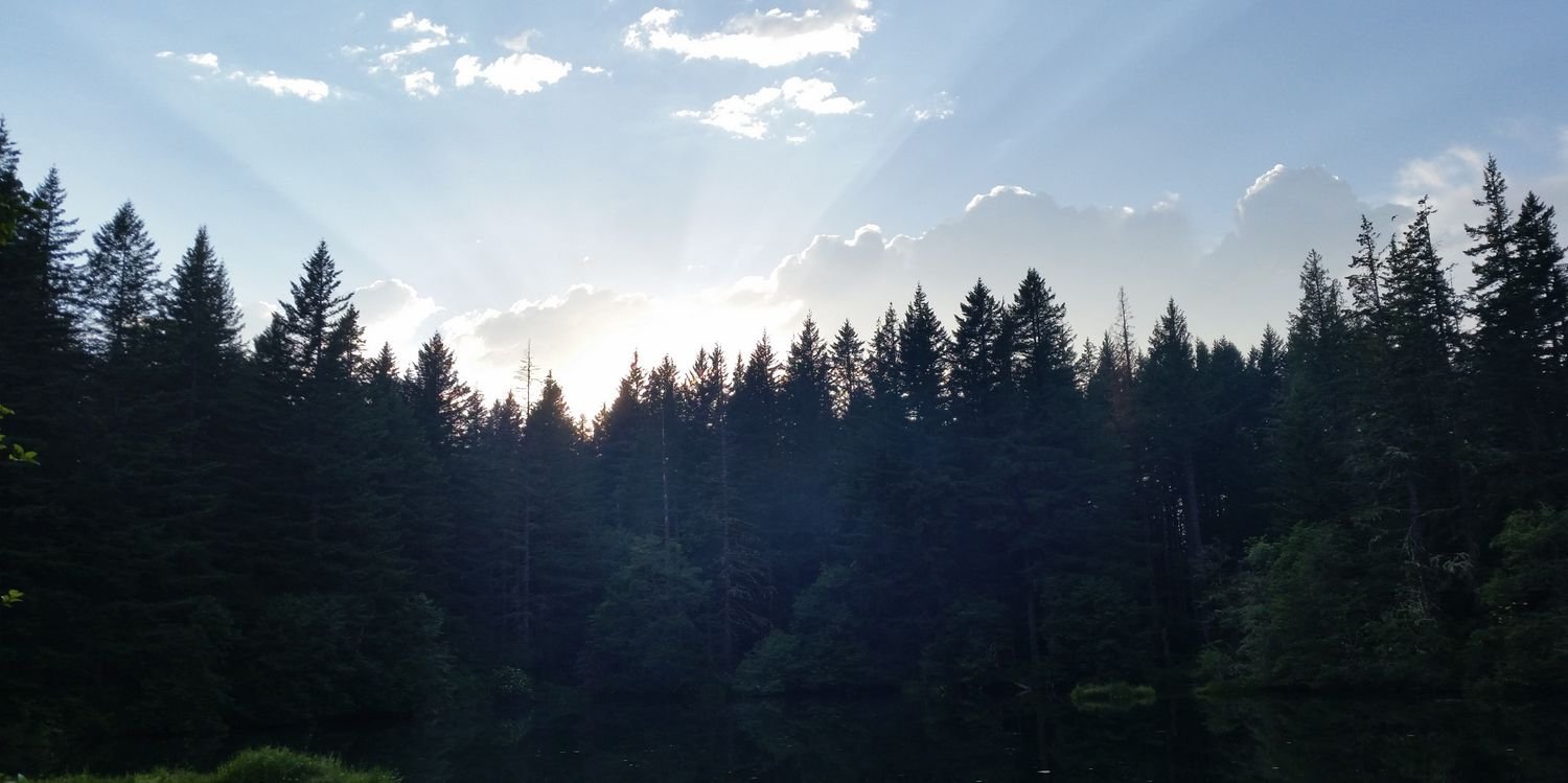 Andy415's profile banner image