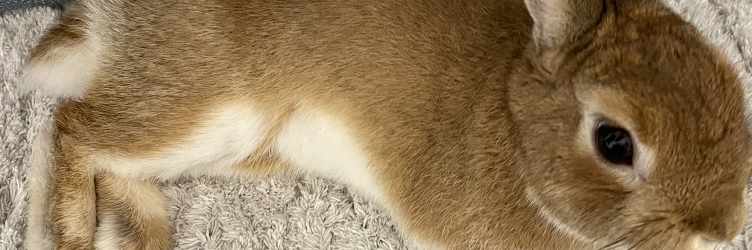 TsbaseballH's profile banner image