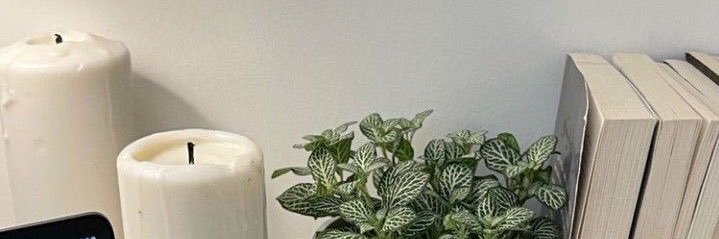 ichamulyanii's profile banner image