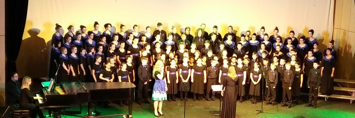 Annapolis Valley Honour Choir banner