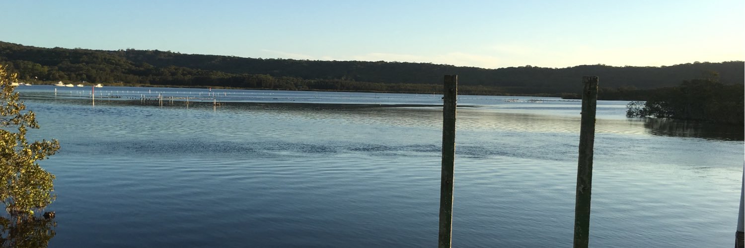 BTIMP's profile banner image