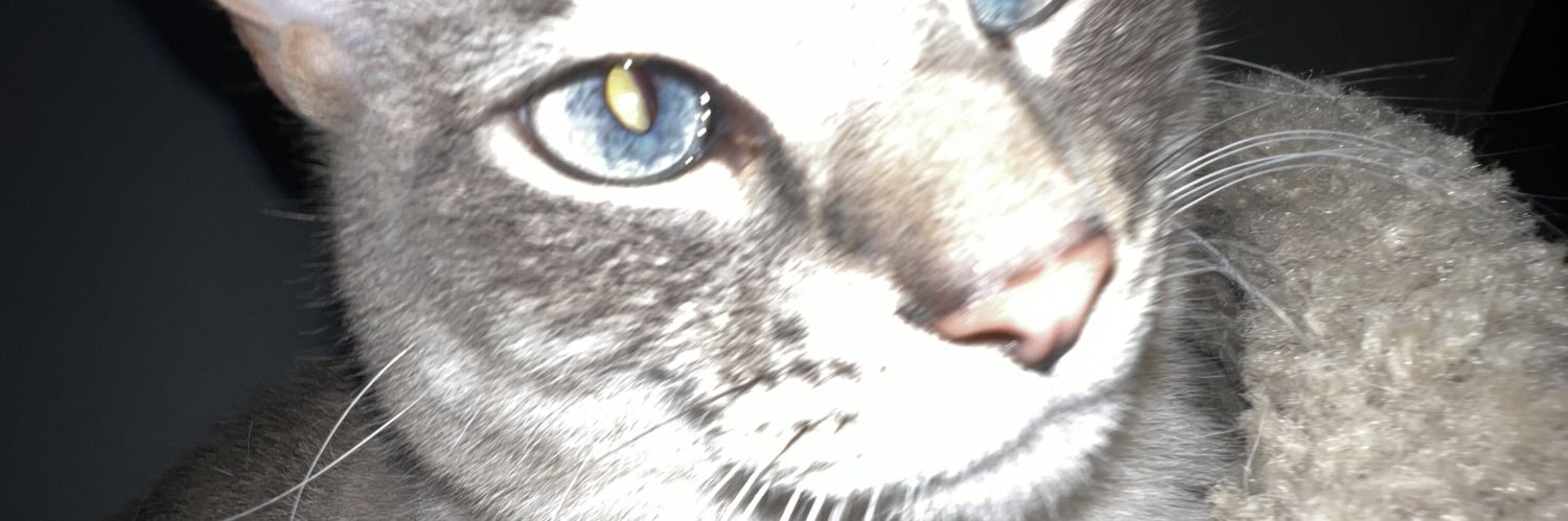 BandyLogan1's profile banner image