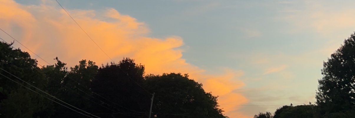 jillyzbrown's profile banner image
