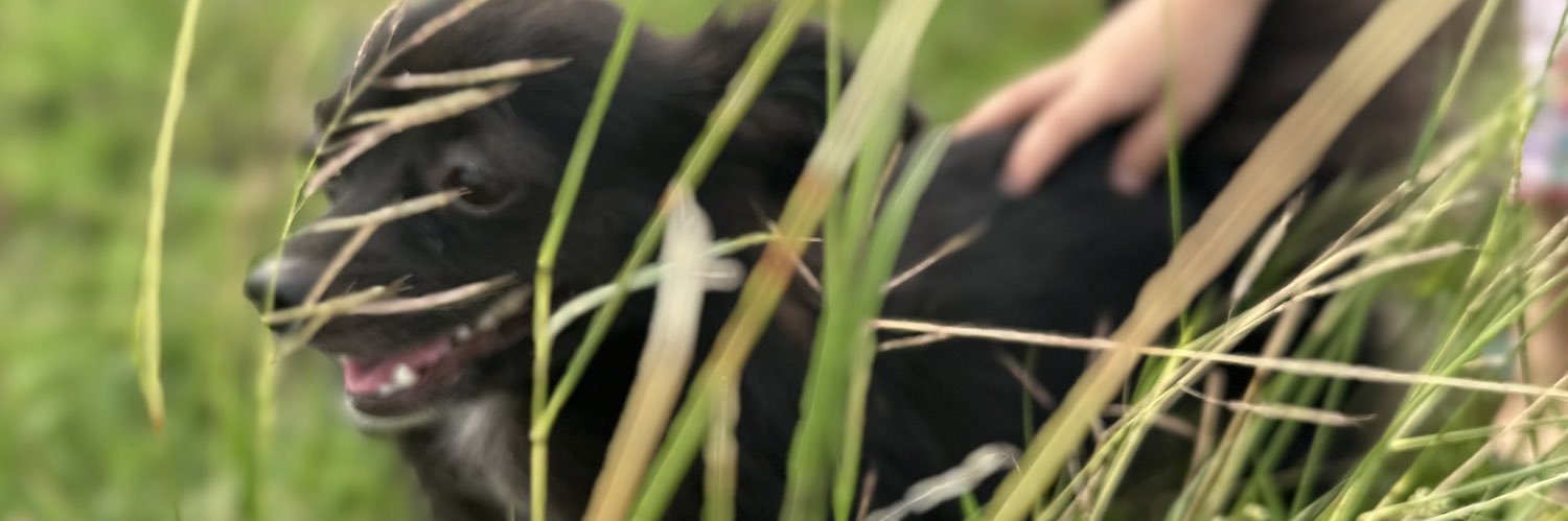 richwifecooking's profile banner image
