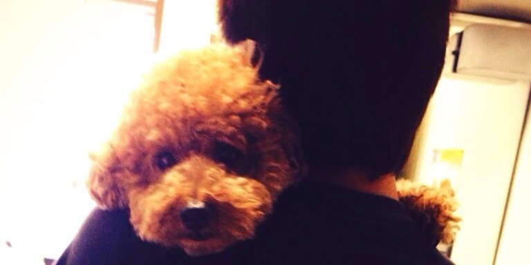 eykk928's profile banner image
