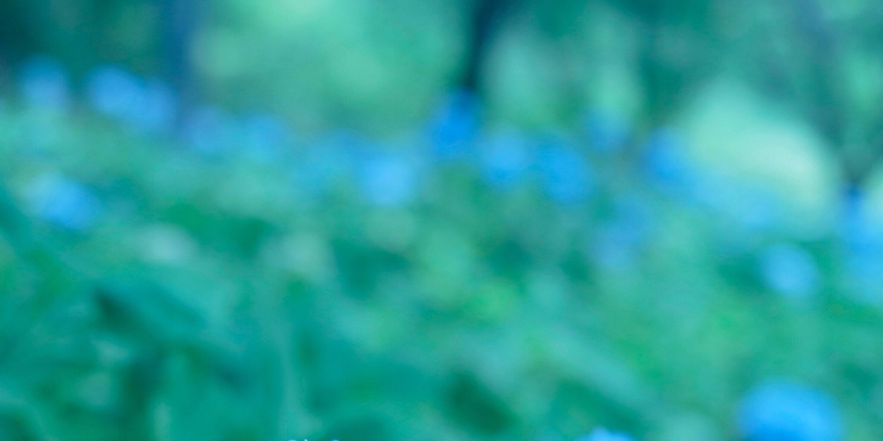 LindandaSverige's profile banner image