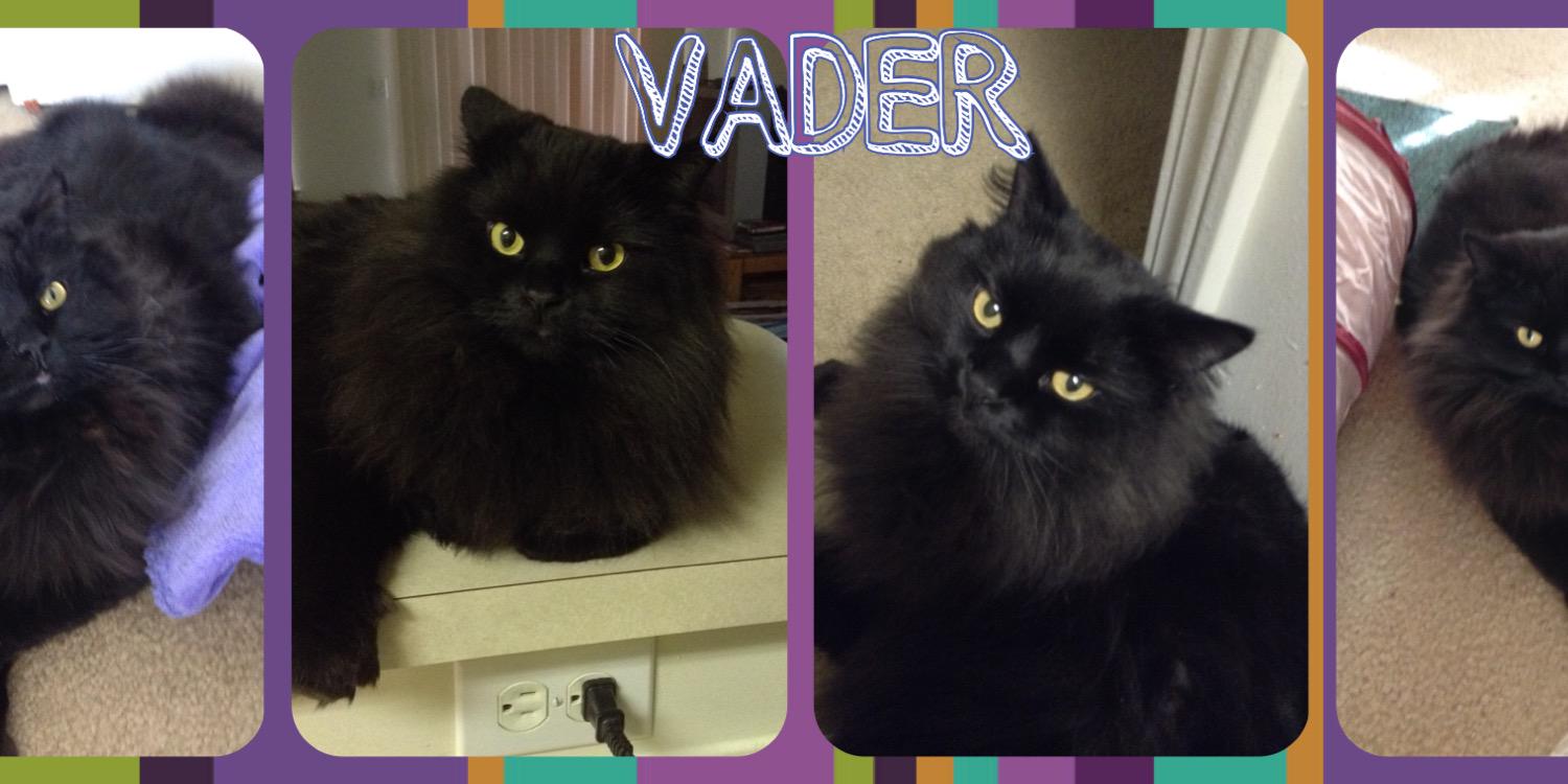 fluffyvader's profile banner image
