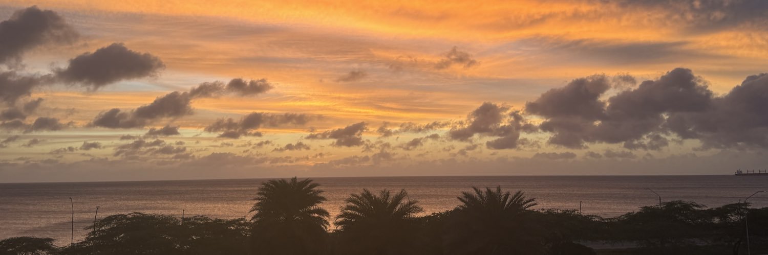 saintneli's profile banner image