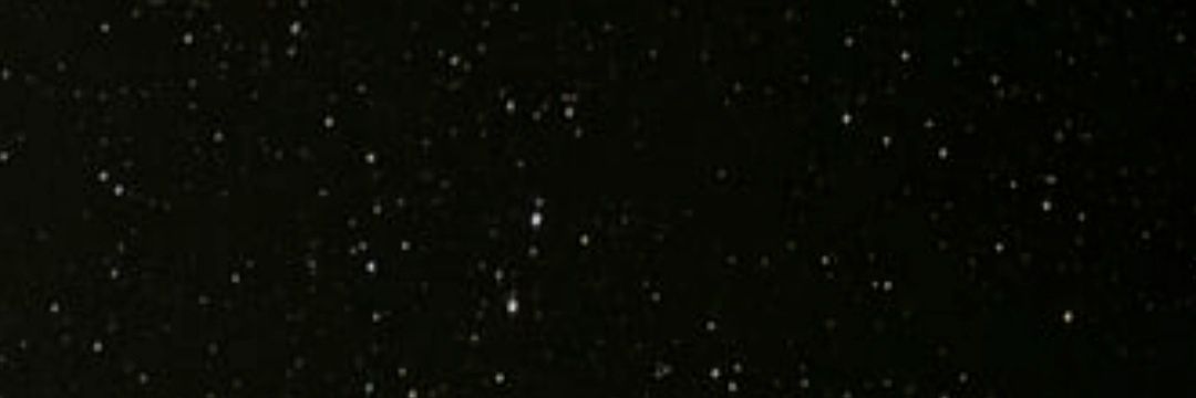 dan banner