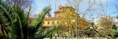 monascasaru's profile banner image